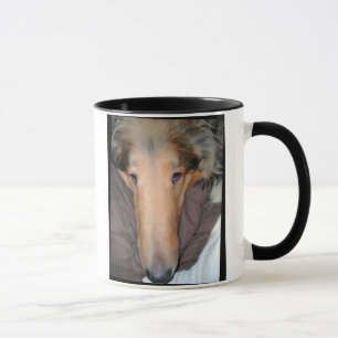 Diese Collie NOSE eine gute Tasse ...