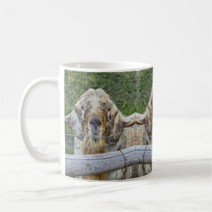 Diese freundliche Farmziege schaut dich an. Kaffeetasse