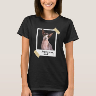 Diese großartige süße Sphynx-Katze und das Kätzche T-Shirt