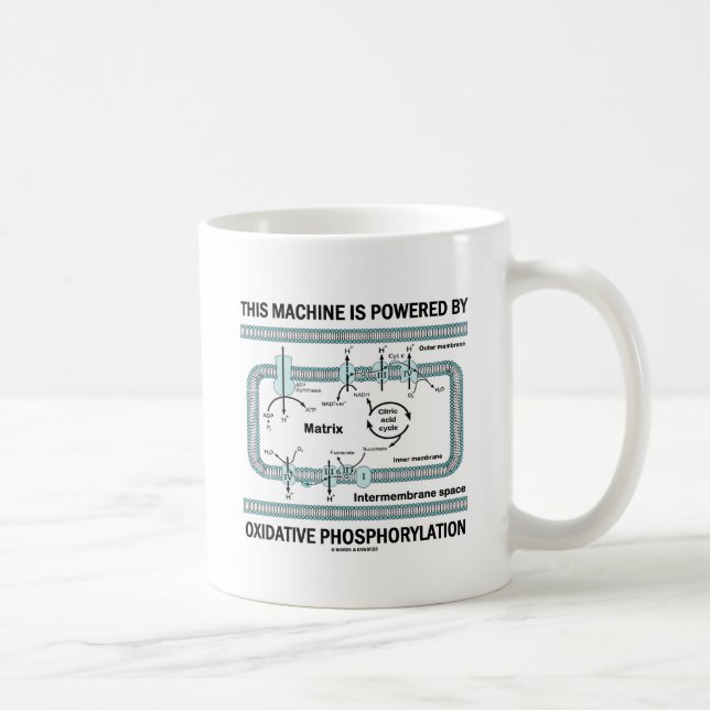 Diese Maschine angetrieben durch oxydierende Kaffeetasse (Rechts)