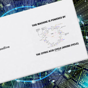 Diese Maschine wird durch den Citronensäure-Zyklus Visitenkarte
