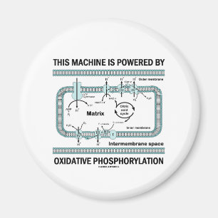 Diese Maschine wird durch oxidative Phosphorylieru Magnet