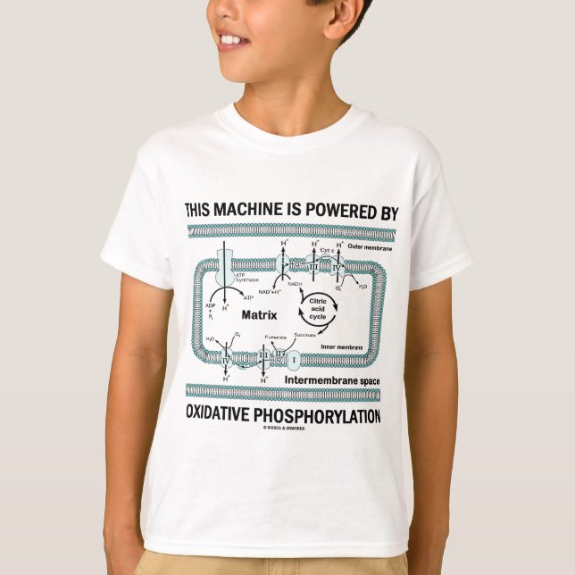Diese Maschine wird durch oxidative Phosphorylieru T-Shirt (Vorderseite)