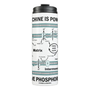 Diese Maschine wird durch oxidative Phosphorylieru Thermosbecher