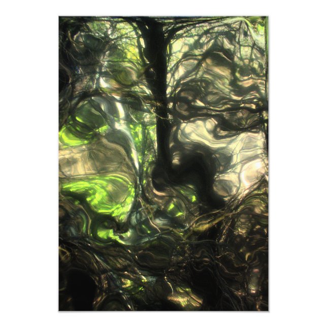 Diese sehr Nacht in Max's Zimmer ein Wald wuchs &  Fotodruck (Vorne)