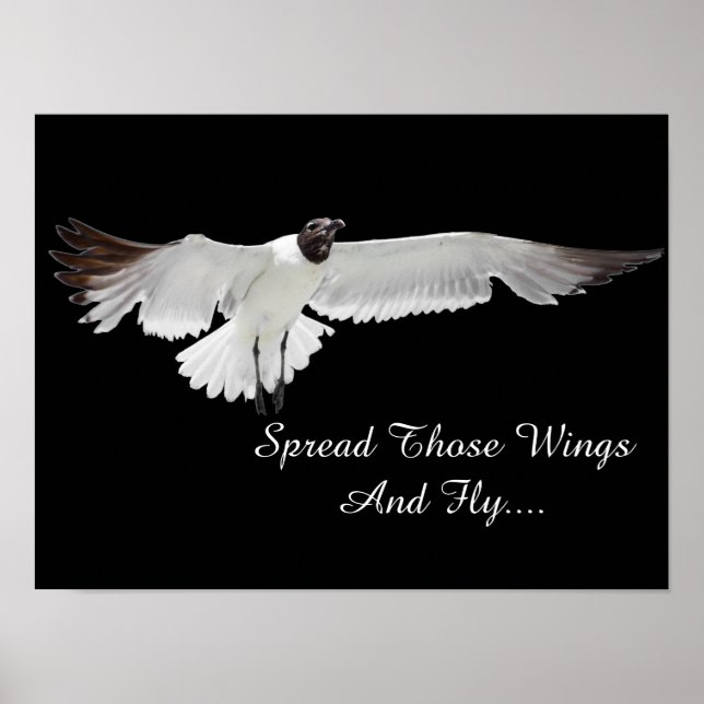 Diese Wings verbreiten Poster (Vorne)