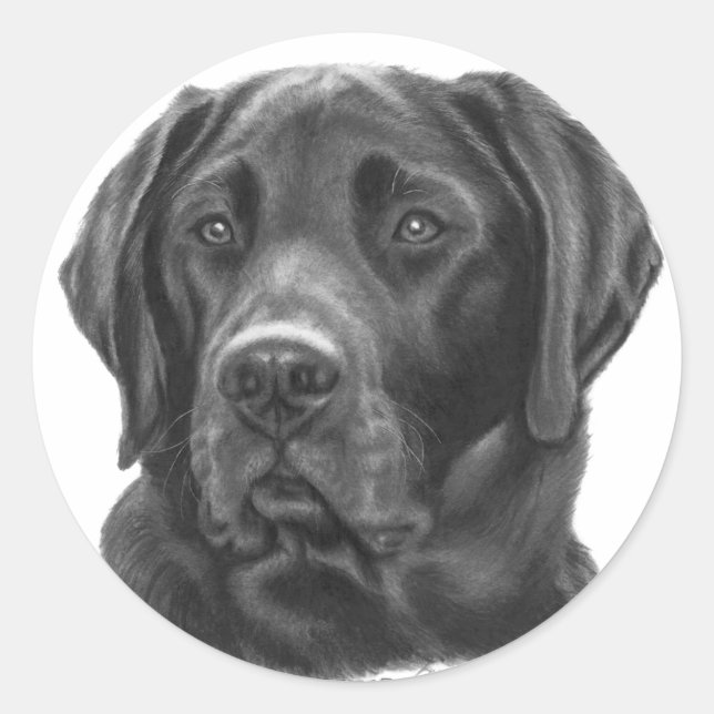 Diesel, schwarzer Labrador Retriever Runder Aufkleber (Vorderseite)