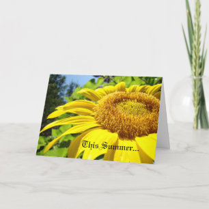Diesen Sommer verliebte ich mich! Karten Ankündigu