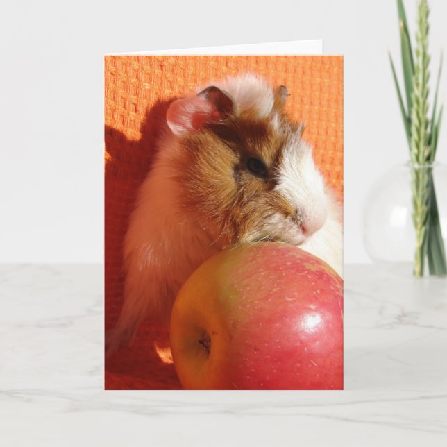 Dieser Apfel ist zu groß für mich Karte (Vorderseite)