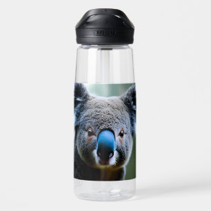Dieser Koala-Bär ist nur eine Liebe Selfie. Trinkflasche