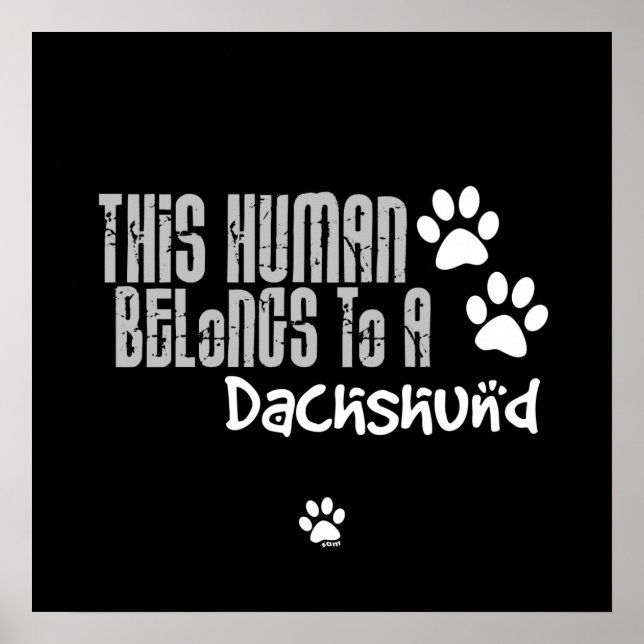 Dieser Mensch gehört einer Dackel an Poster (Vorne)