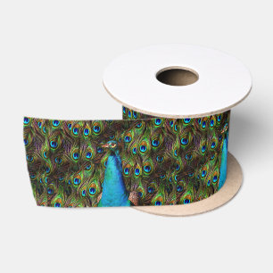 Dieser Pfau beobachtet dich! Satinband