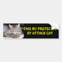 Dieser RV geschützt durch Angriffs-Katze