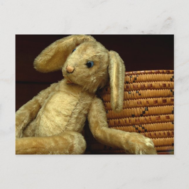 Dieses alte Kaninchen von mir Postkarte (Vorderseite)