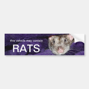 Dieses Fahrzeug kann Ratten enthalten Autoaufkleber