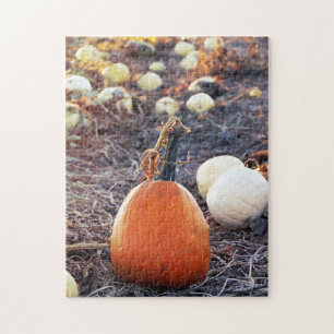 Dieses Herbstgefühl