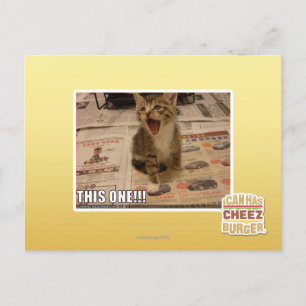 Dieses hier! postkarte