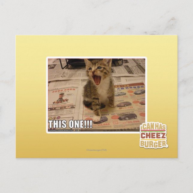 Dieses hier! postkarte (Vorderseite)