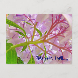 Dieses Jahr werde ich.. Postkarten Pink Hydrangeas