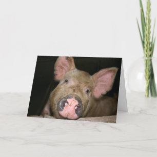 Dieses kleine Ferkel sagt Sorry Karte