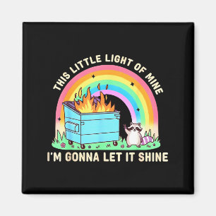 Dieses kleine Licht des Waschbären-Müllcontainer-F Magnet