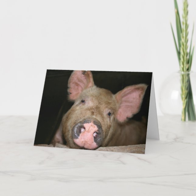 Dieses kleine Piggy sagt Sorry Karte (Vorderseite)