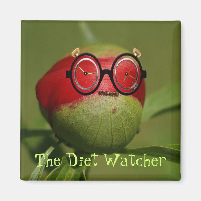 Diet Watcher Magnet (Vorne)
