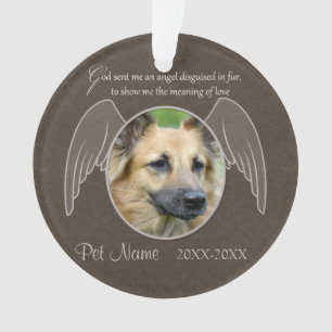 Dieu a envoyé un animal de compagnie Angel Sympath