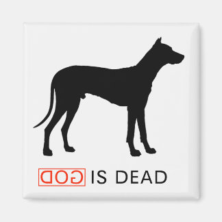 Dieu est un aimant mort