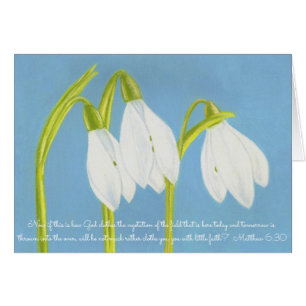 Dieu vêtx la végétation Field~Scripture~SnowDrops