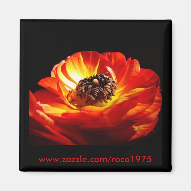 Differenz Magnet (Vorne)