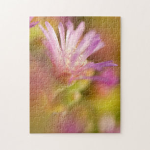 Diffuses Bild einer farbenfrohen Sukkulentenblume