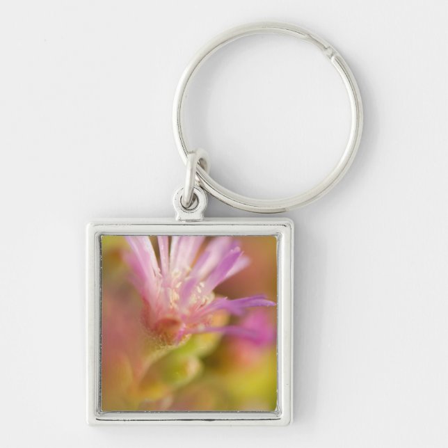 diffuses Bild einer farbigen, sukkulenten Blume Schlüsselanhänger (Vorne)