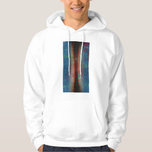 DIG1TS 2014 HOODIE
