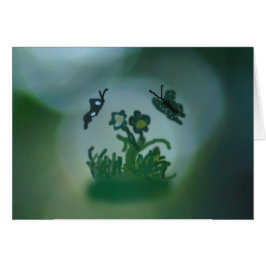 Digital Butterfly Dreamin'