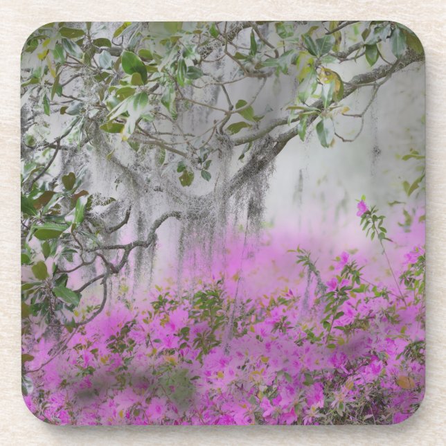 Digital Composite of Azaleas and Magnolia tree Untersetzer (Vorderseite)