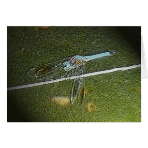 Digital Dragonfly Card