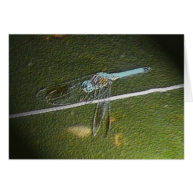 Digital Dragonfly Card (Vorderseite (Horizontal))