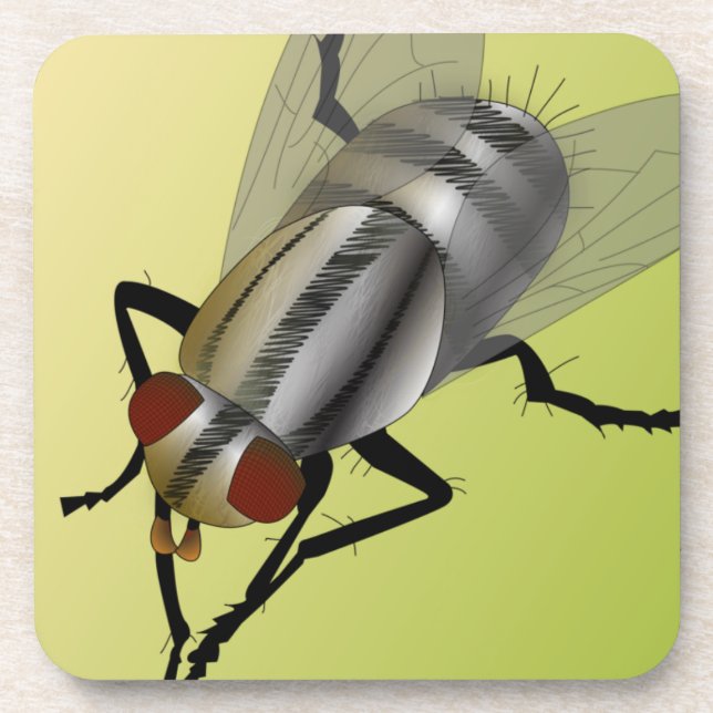 Digital Fly Getränkeuntersetzer (Vorderseite)