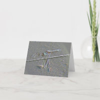 Digital Manipulation Note Card