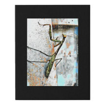 Digital Mixed Media Black Leinwand Art