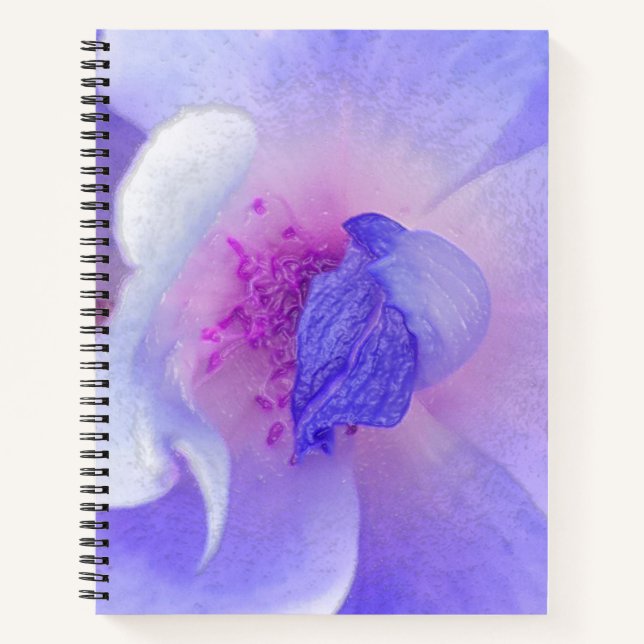 *~* Digital modifizierte Rose von Rosa bis Blau Notizbuch (Vorderseite)