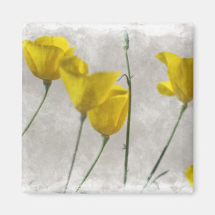 Digitale Aquarell-Gelbe Kalifornische Mohn-Magnet Magnet