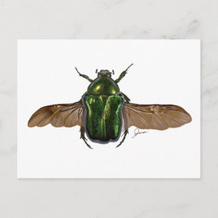 Digitale Beetle-Malerkarte Postkarte