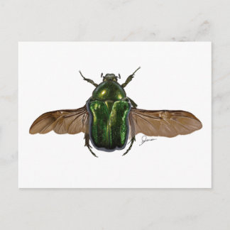 Digitale Beetle-Malerkarte Postkarte