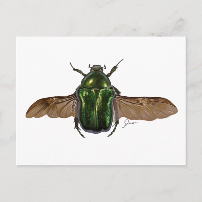 Digitale Beetle-Malerkarte Postkarte (Vorderseite)