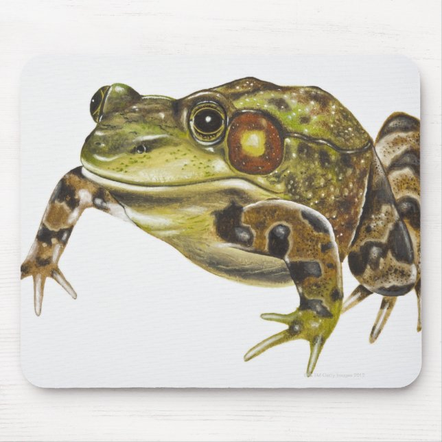 Digitale Darstellung von Green Frog Mousepad (Vorne)