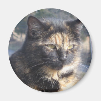 Digitale Katze Magnet
