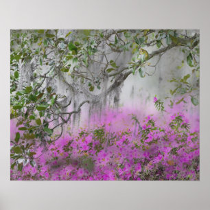 Digitale Komposition aus Azaleen und Magnolienbaum Poster