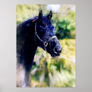 Digitale Kunst für das Fresische Pferd Poster